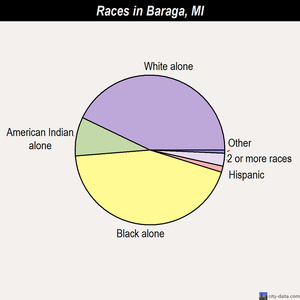 Baraga races chart