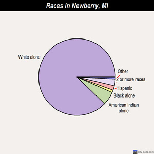 Newaygo races chart
