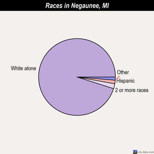 Negaunee races chart