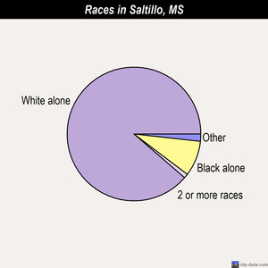 Saltillo races chart