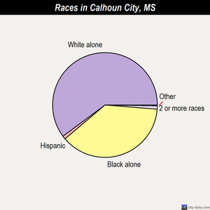Calhoun City races chart