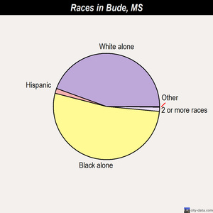 Brookhaven races chart