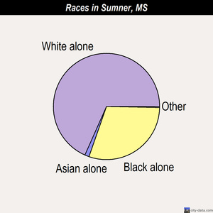 Sumner races chart