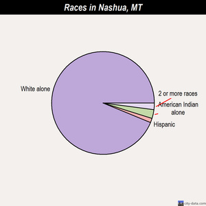 Nashua races chart
