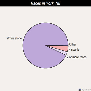 York races chart