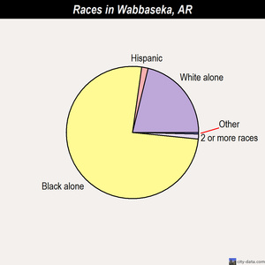 Wabbaseka races chart