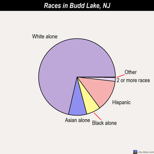 Budd Lake races chart