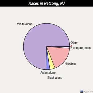 Netcong races chart