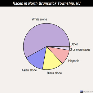township of north brunswick