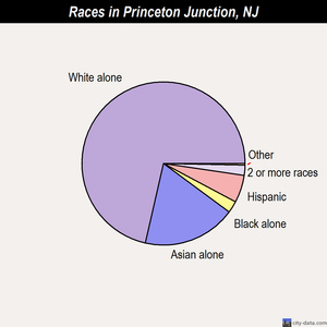 Princeton Junction races chart