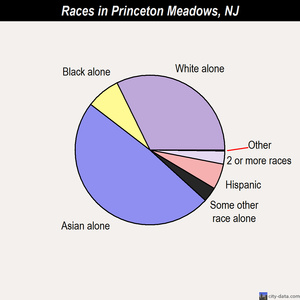 Princeton Meadows races chart
