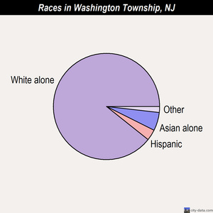 Washington Township races chart