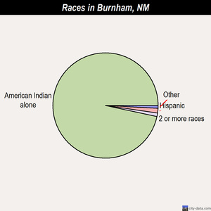 Burnham races chart