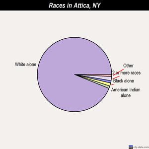 Attica ny election results