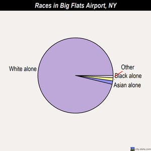 Big Flats Airport races chart