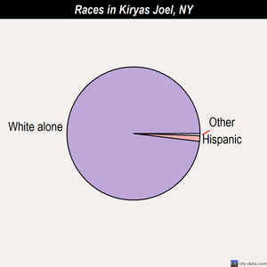 Kiryas Joel races chart
