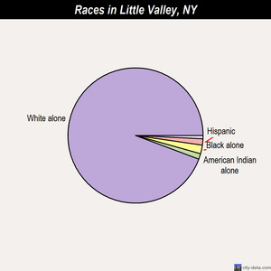 Little Valley races chart