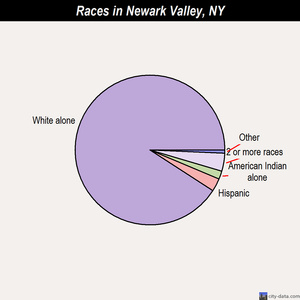 Newark Valley races chart