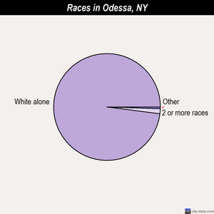 Odessa races chart