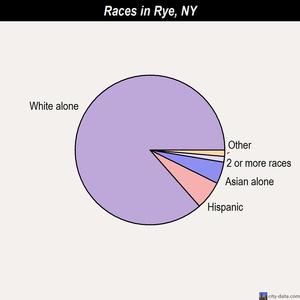 Rye races chart