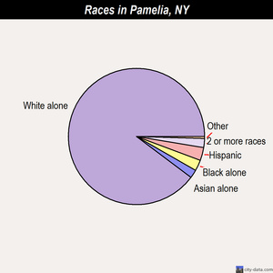 Pamelia races chart