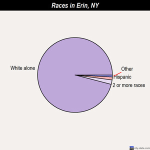 Erin races chart