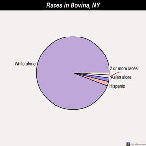 Bovina races chart