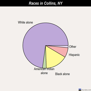 Collins races chart