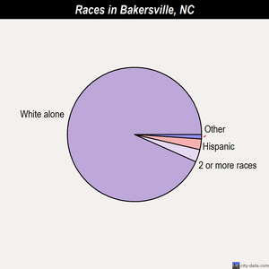 Bakersville races chart