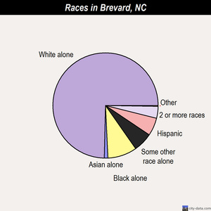 Brevard races chart