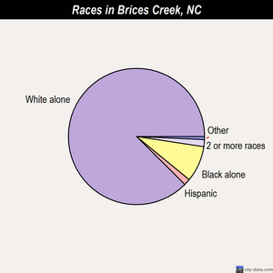 Brices Creek races chart