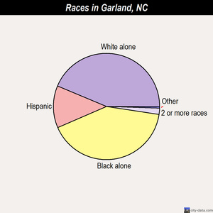 Fayetteville races chart