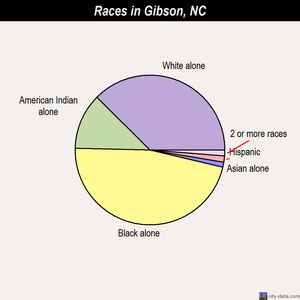 Gibson races chart
