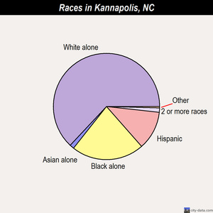 Kannapolis races chart
