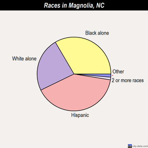 Magnolia races chart