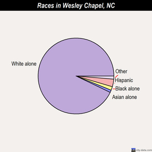 Wesley Chapel races chart