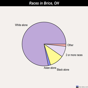 Brecksville races chart