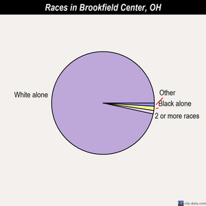 Broadview Heights races chart
