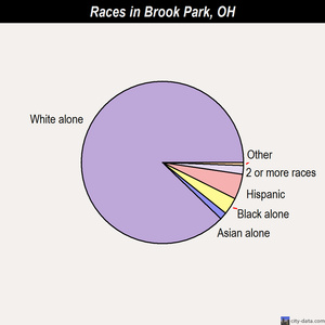 Brook Park races chart