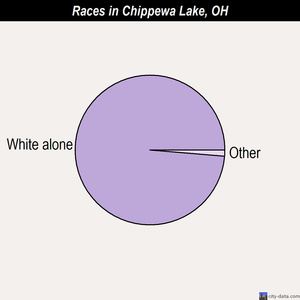 Chippewa Lake races chart