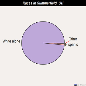 Summerfield races chart