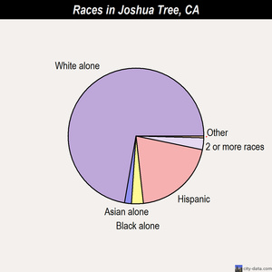 Joshua Tree Weather Annual