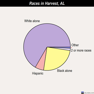 Hammondville races chart