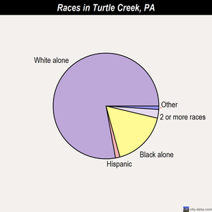 Turtle Creek races chart