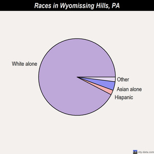 Wyomissing Hills races chart