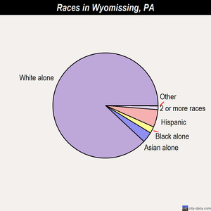 Wyomissing races chart