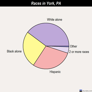 York races chart