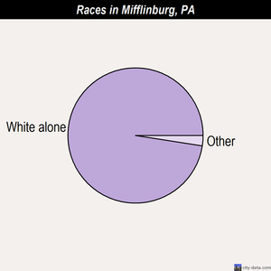 Mifflinburg races chart