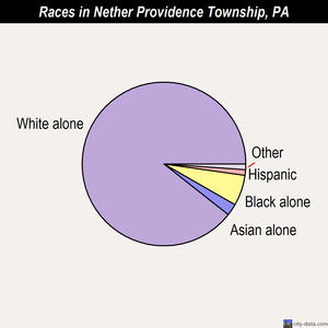 Nether Providence Township races chart