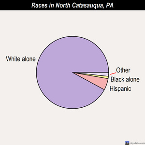 North Catasauqua races chart
